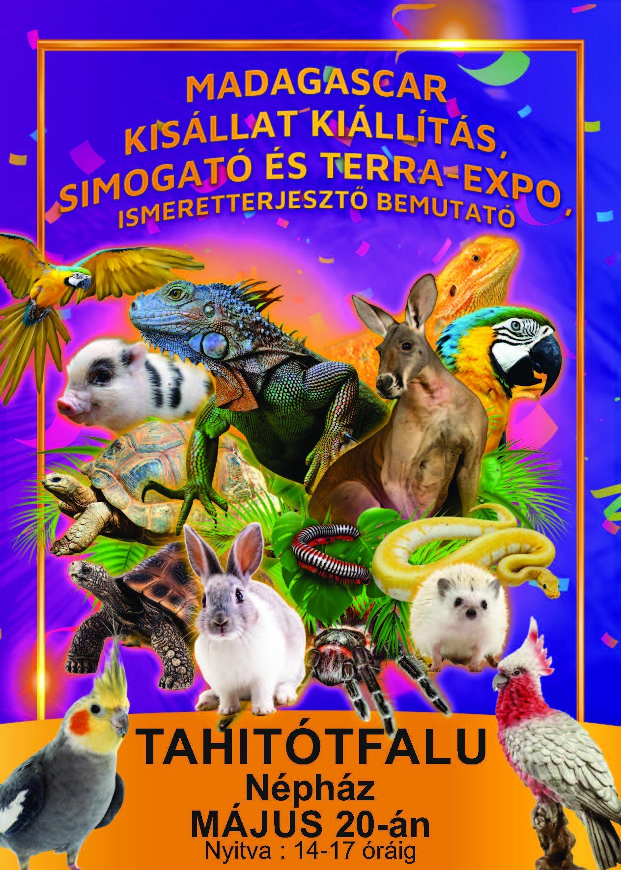 230520-tf-kisallat-expo.jpg
